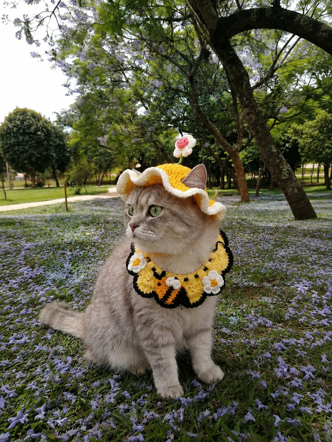 🐱 Handmade Crochet Kitty Hat