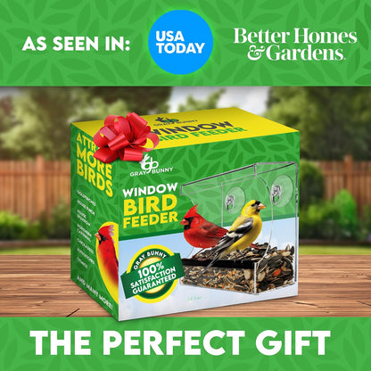 Window Bird Feeder