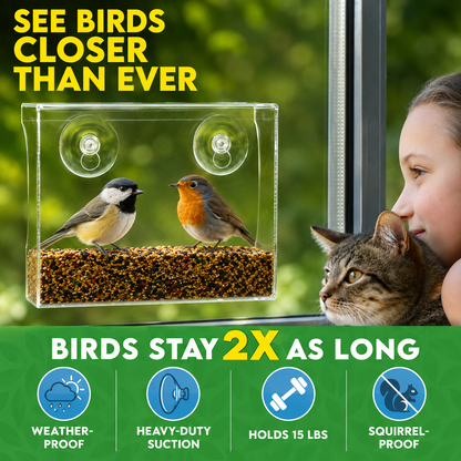 Window Bird Feeder