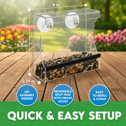 Window Bird Feeder